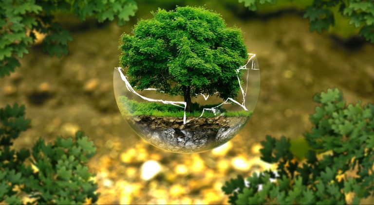 Gepflanzt: Die Aktie der Megatrends? VEOLIA ENVIRONNEMENT