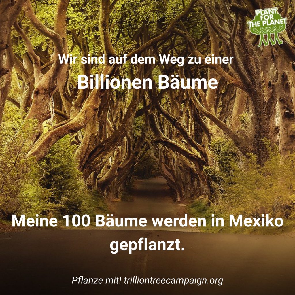 trillion tree campaign